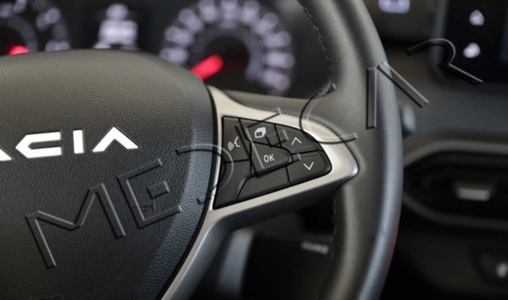 Dacia Sandero Stepway usata a Potenza (13)