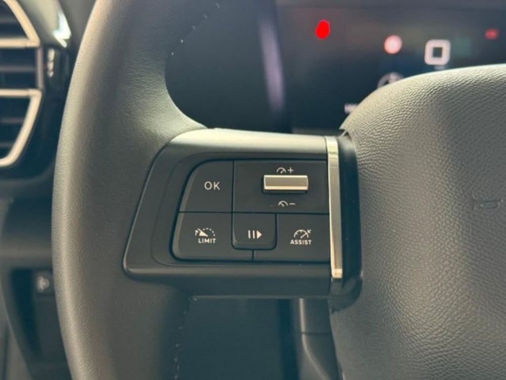 Citroen C4 usata a Trapani (13)