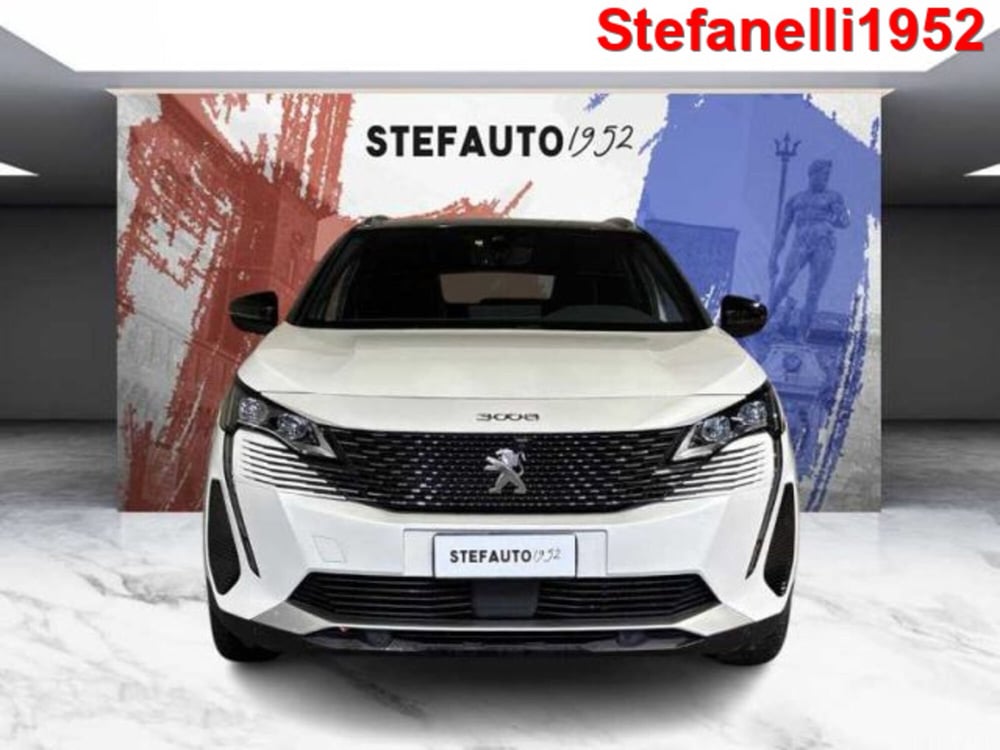 Peugeot 3008 usata a Bologna (2)