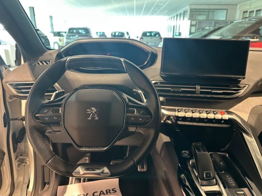 Peugeot 3008 usata a Reggio Emilia (9)
