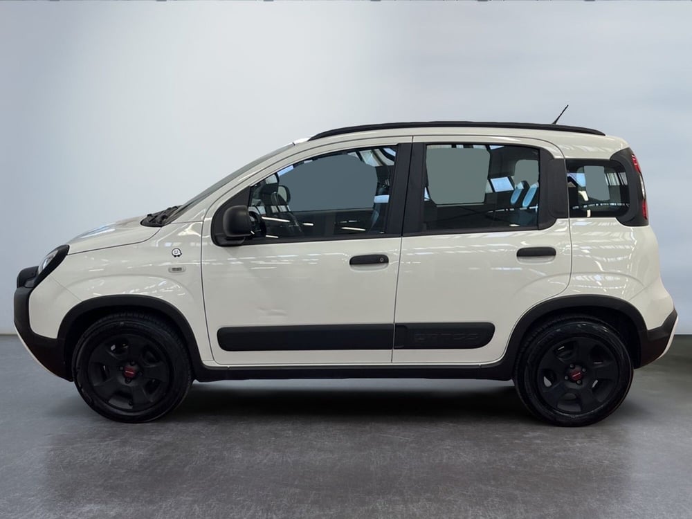 Fiat Panda usata a Bologna (2)