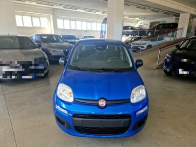 Fiat Panda 1.0 firefly hybrid s&amp;s 70cv 5p.ti nuova a Orvieto