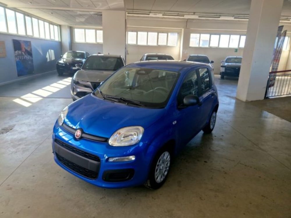 Fiat Panda nuova a Terni (2)