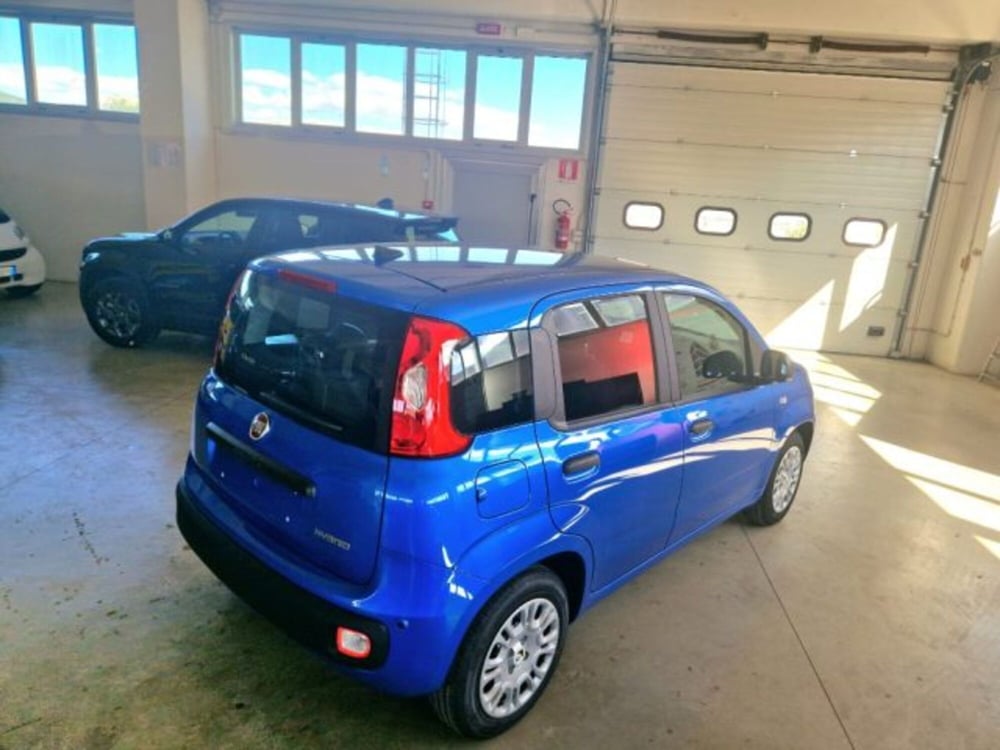 Fiat Panda nuova a Terni (3)