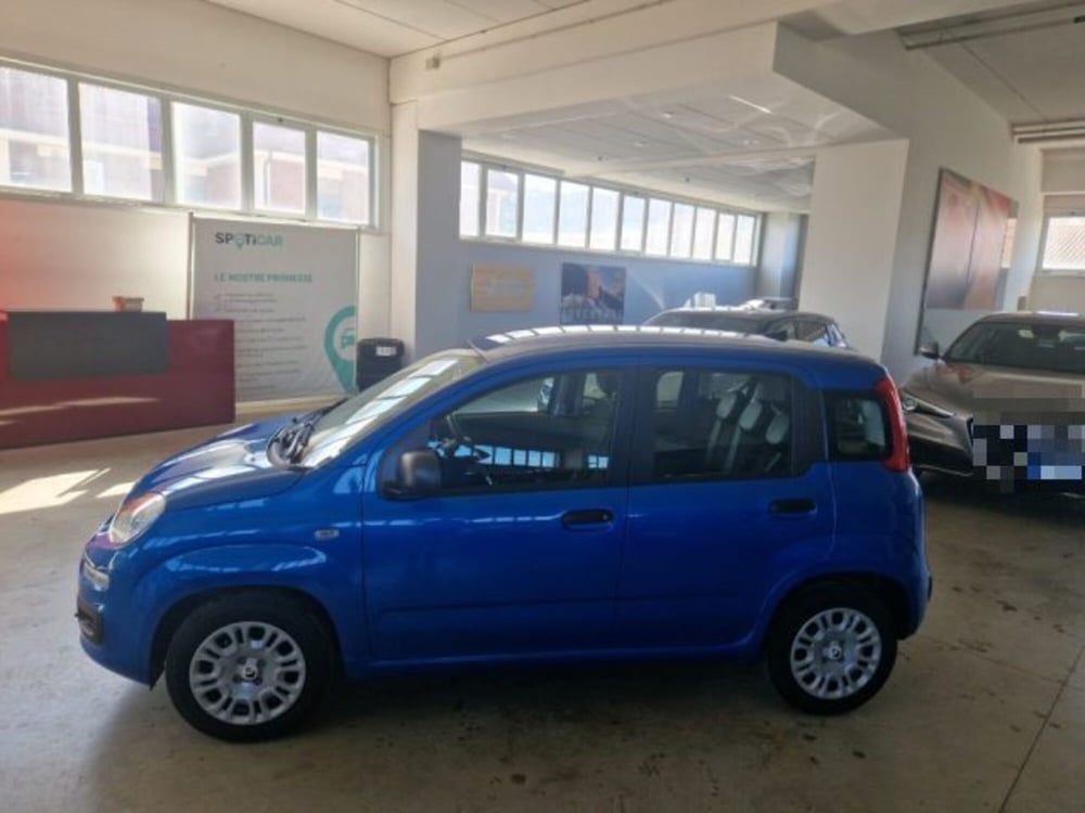 Fiat Panda nuova a Terni (4)