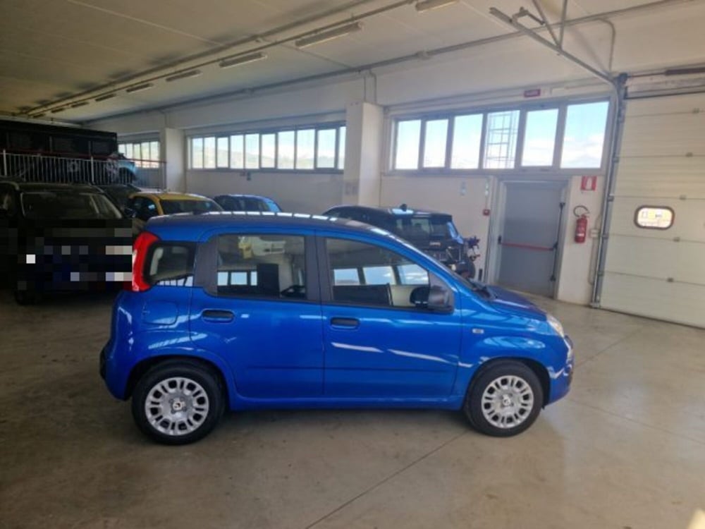 Fiat Panda nuova a Terni (6)