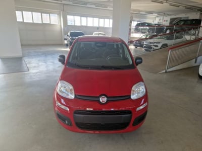 Fiat Panda 1.0 firefly hybrid s&amp;s 70cv 5p.ti nuova a Orvieto