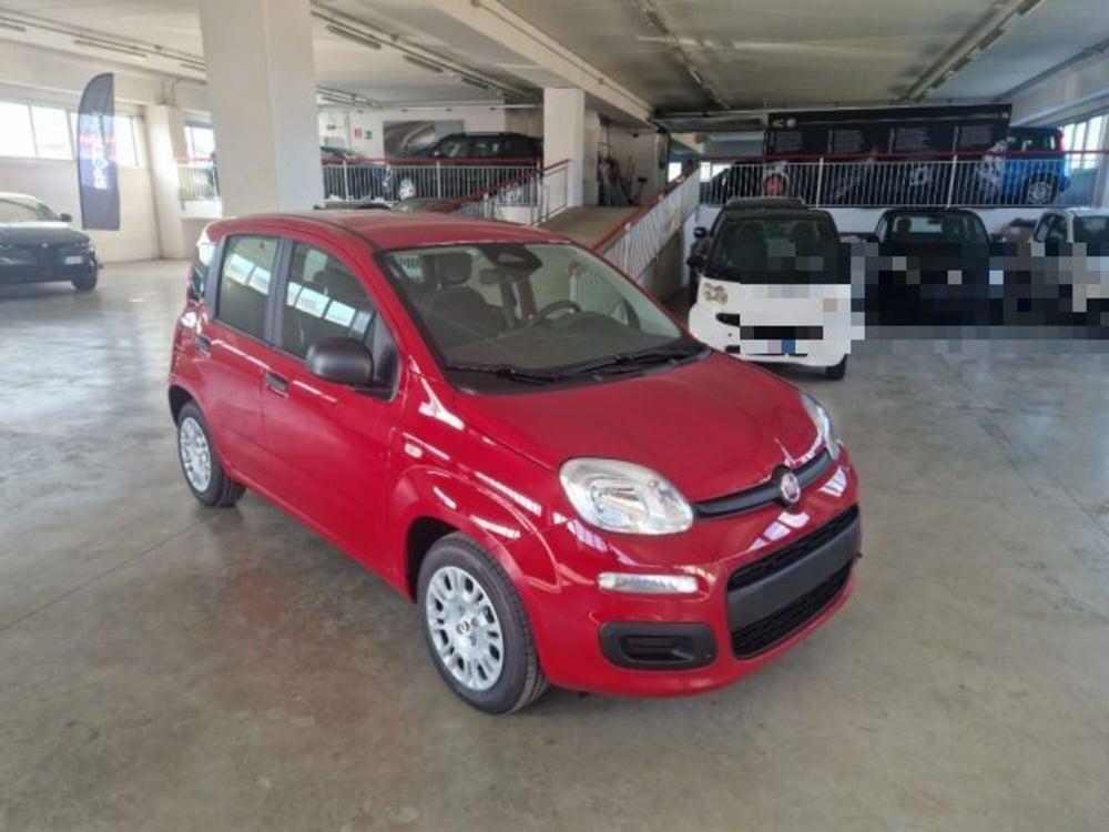 Fiat Panda nuova a Terni (2)