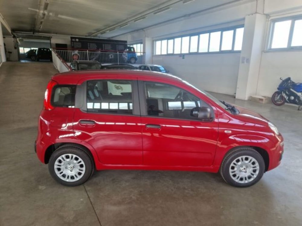 Fiat Panda nuova a Terni (3)