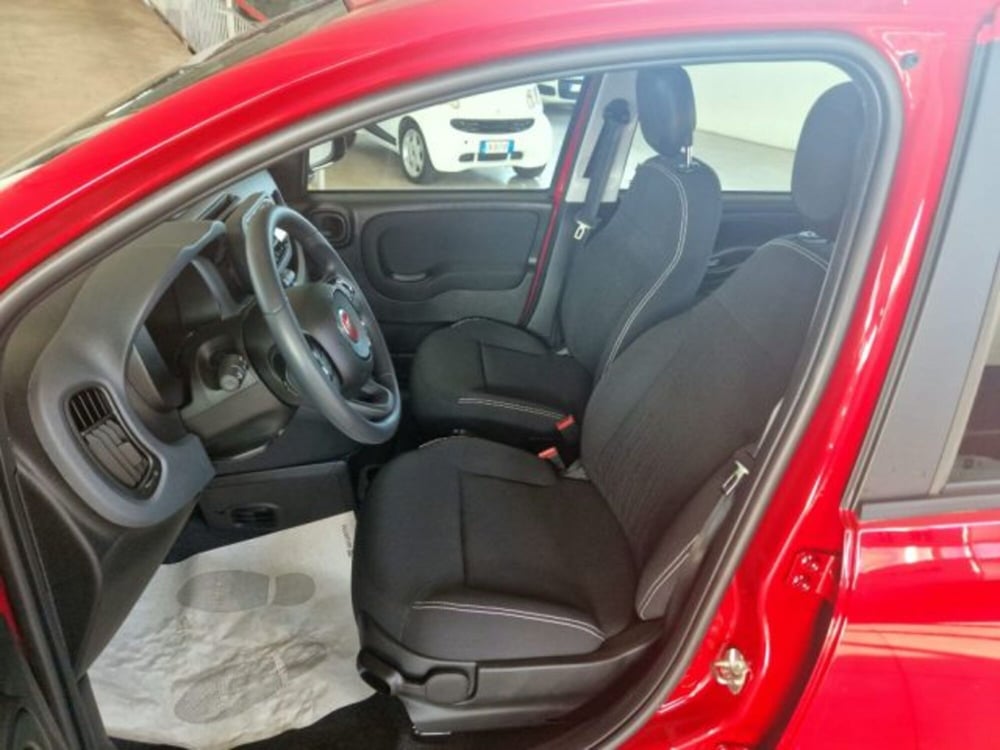 Fiat Panda nuova a Terni (7)