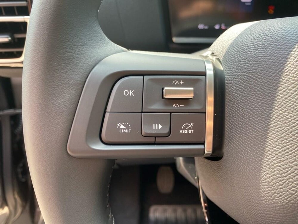 Citroen C4 nuova a Torino (13)
