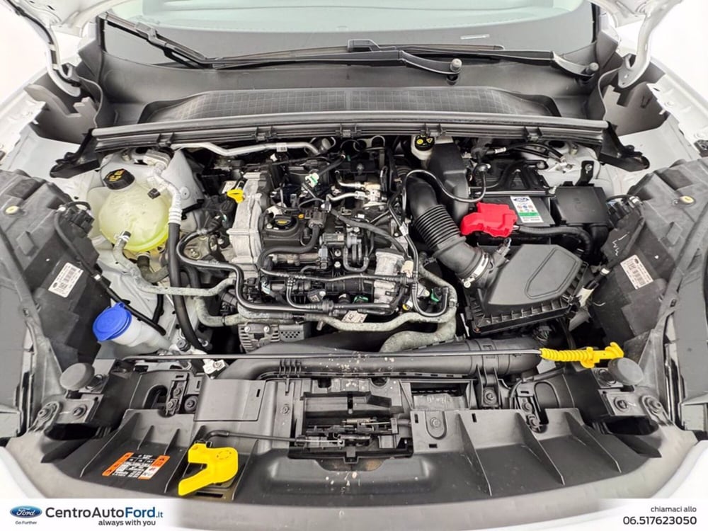 Ford Puma usata a Roma (12)