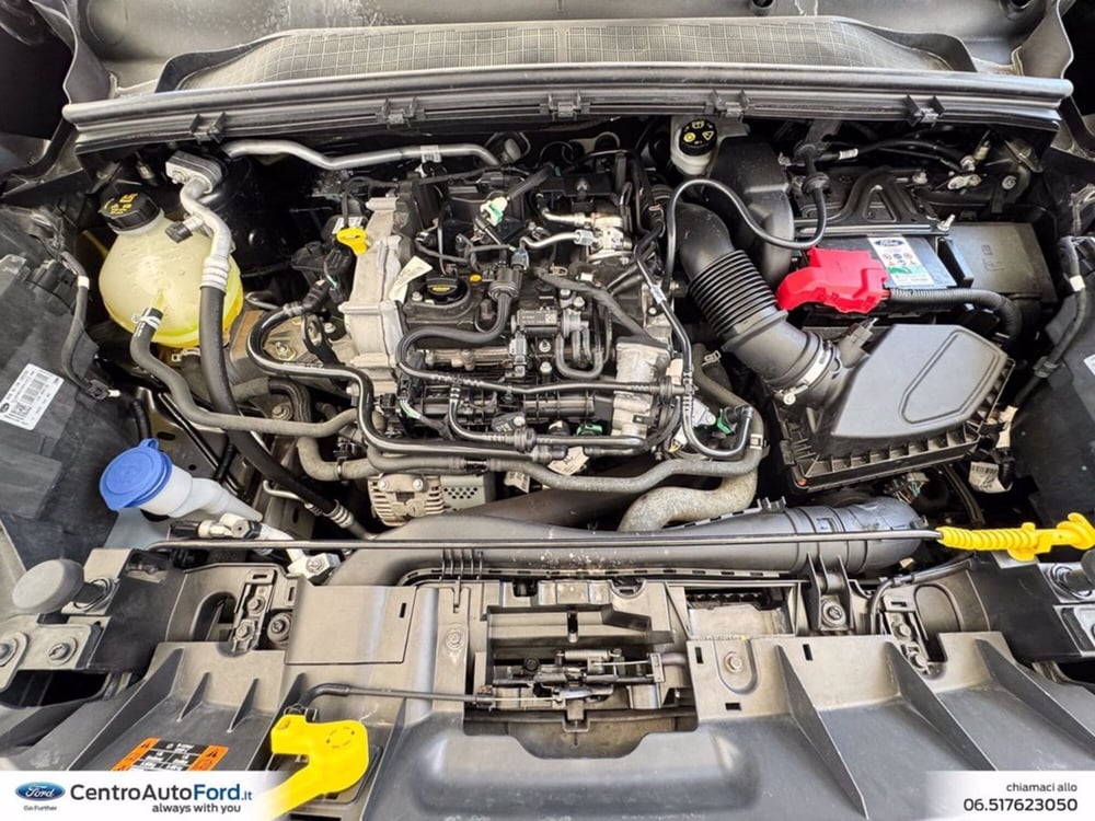 Ford Puma usata a Roma (12)