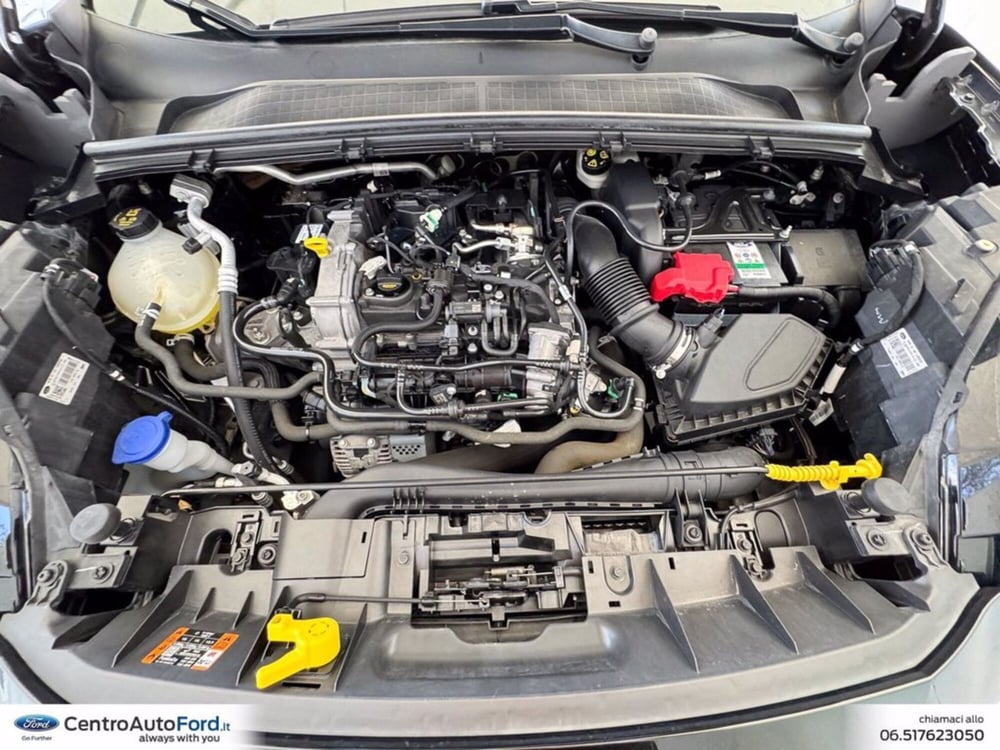 Ford Puma usata a Roma (12)