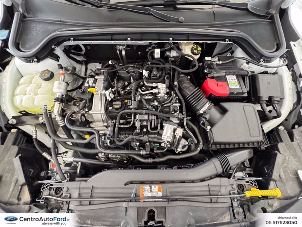 Ford Focus usata a Roma (11)
