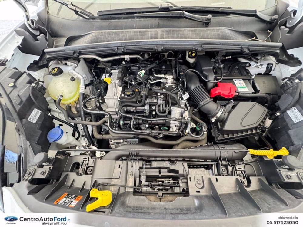 Ford Puma usata a Roma (12)