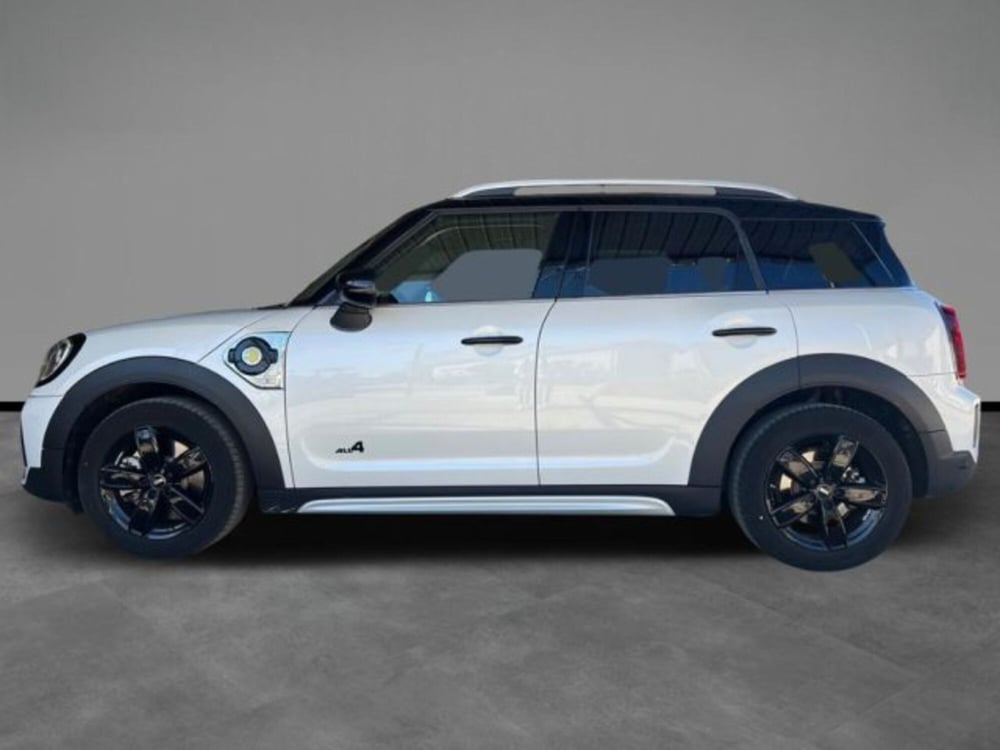 MINI Mini Countryman usata a Lecce (2)