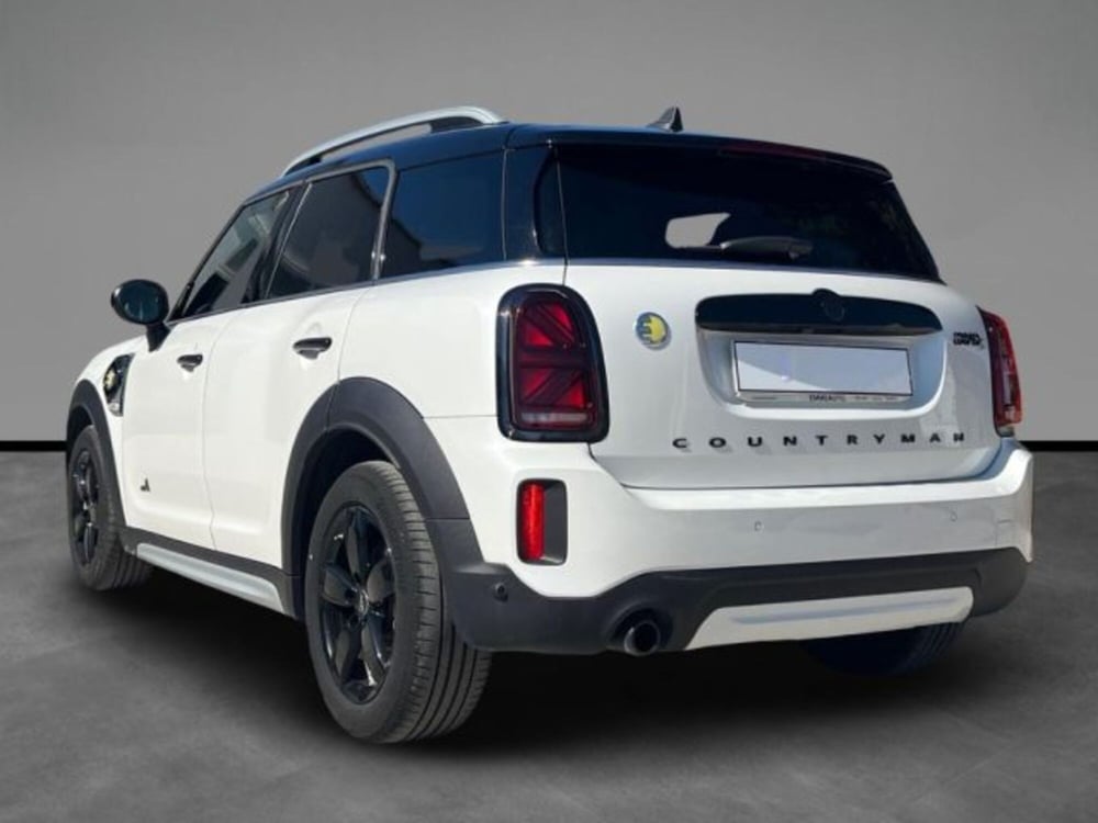 MINI Mini Countryman usata a Lecce (3)