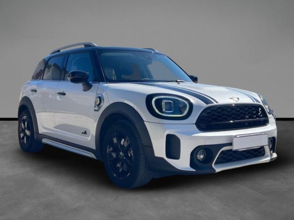 MINI Mini Countryman usata a Lecce (6)