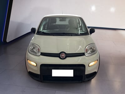 Fiat Panda 1.0 firefly hybrid s&amp;s 70cv 5p.ti del 2024 usata a Torino