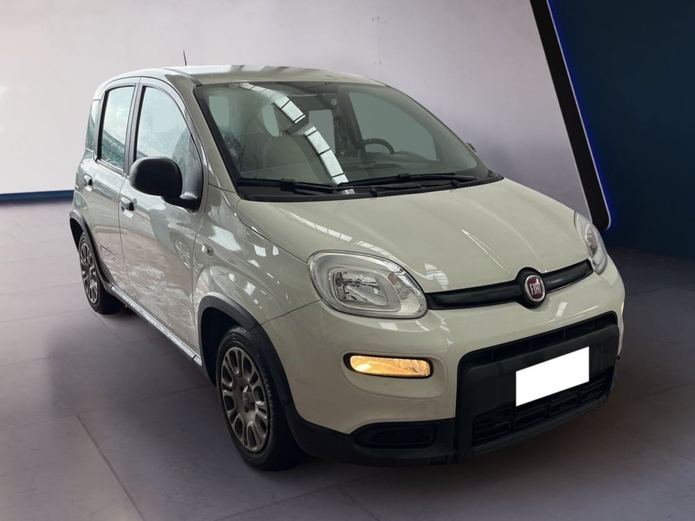 Fiat Panda usata a Torino (3)