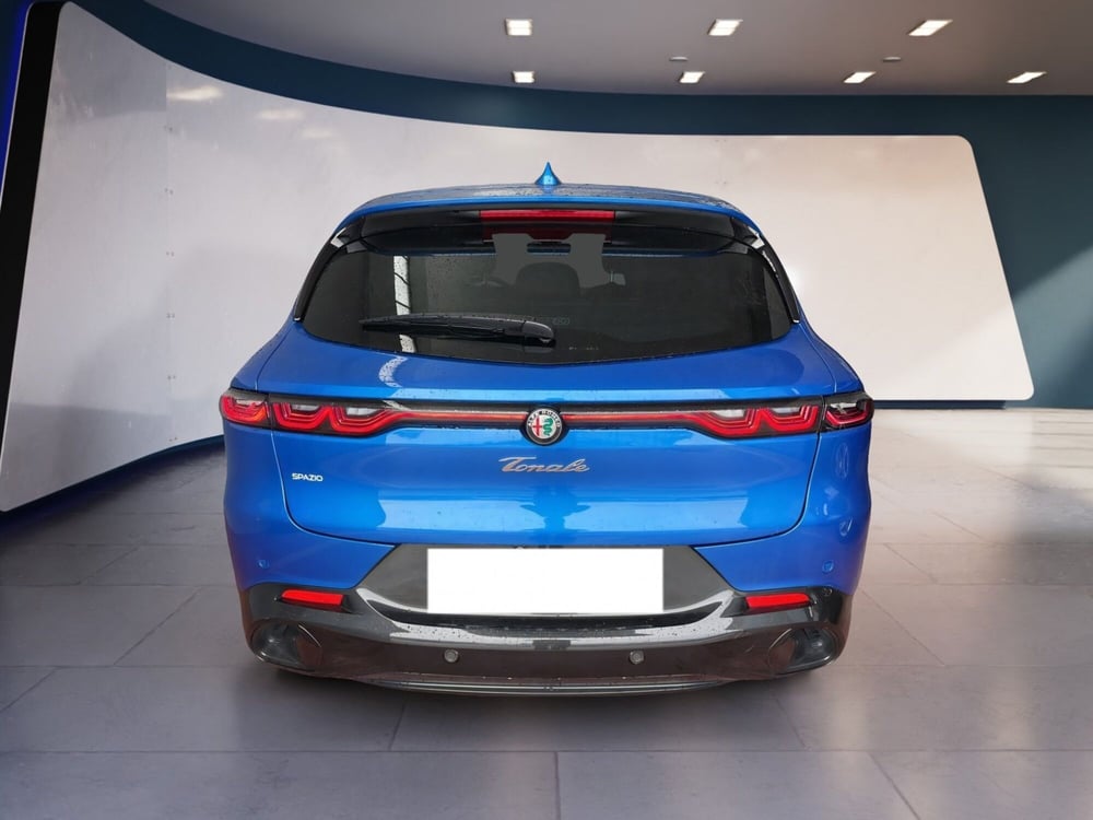 Alfa Romeo Tonale usata a Torino (6)