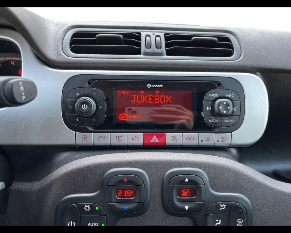 Fiat Panda usata a Torino (6)