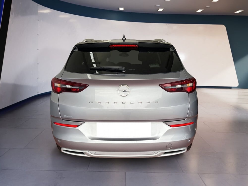 Opel Grandland usata a Torino (6)