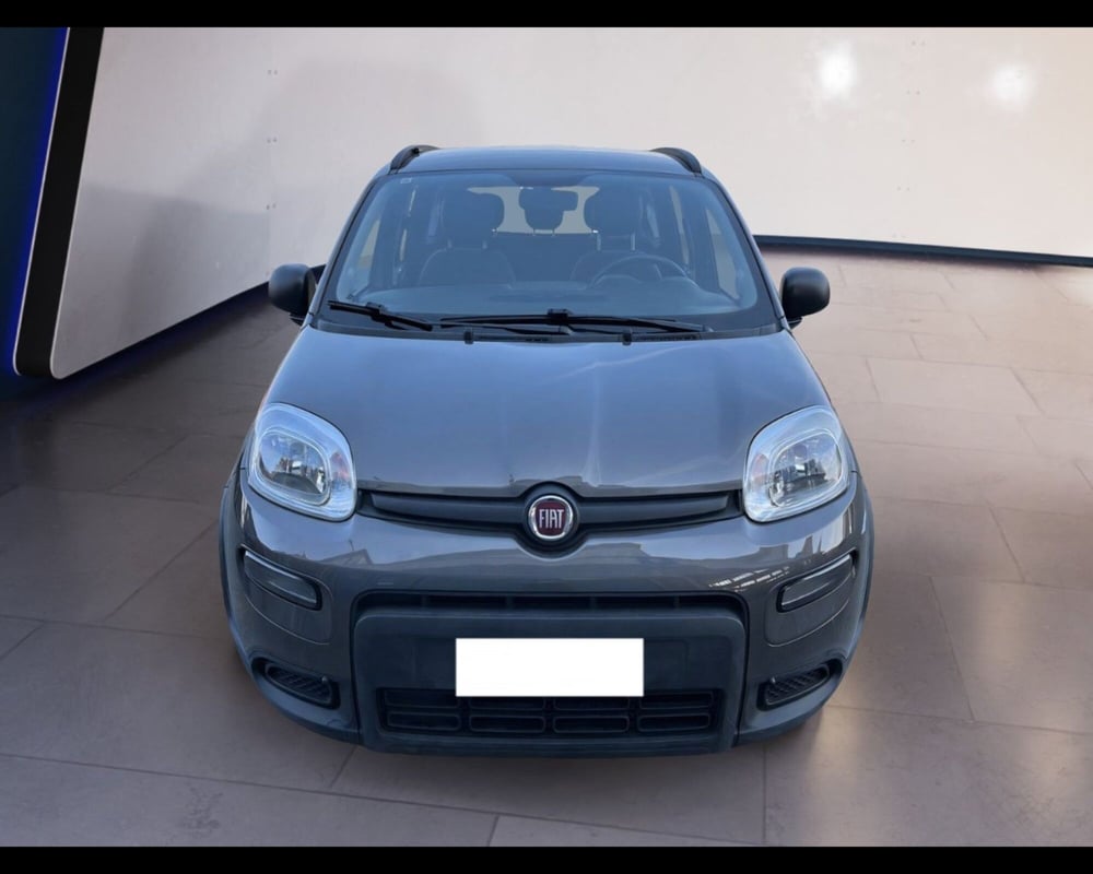 Fiat Panda usata a Torino