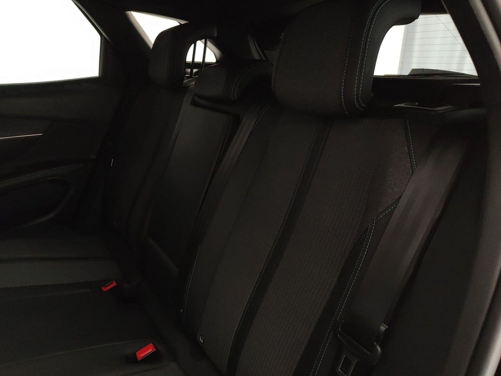 Peugeot 3008 usata a Caserta (19)