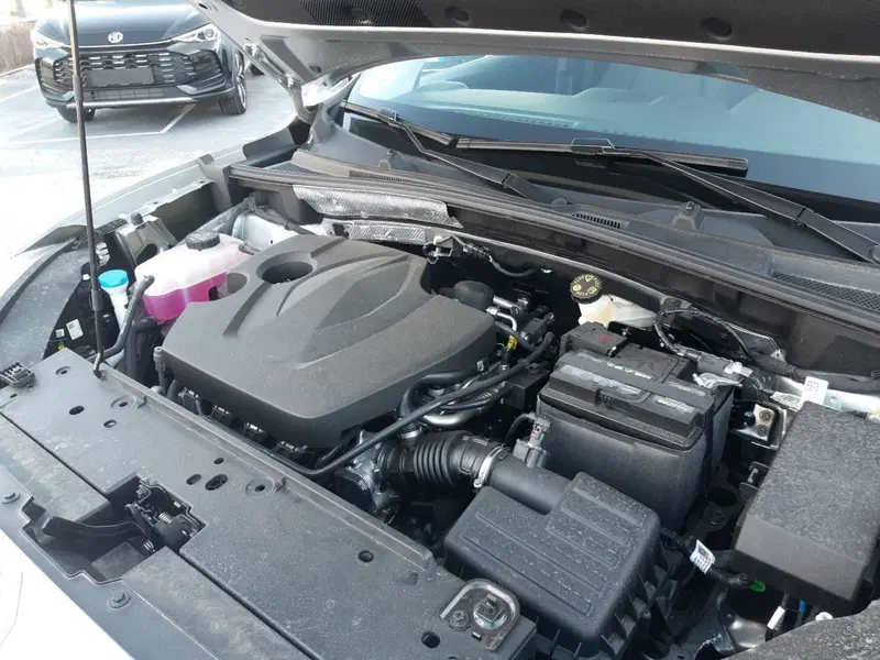 Mg ZS nuova a Campobasso (13)