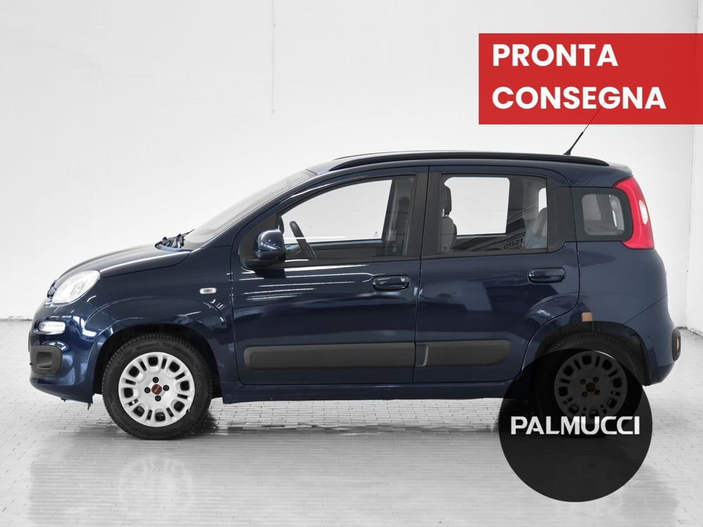 Fiat Panda usata a Prato (3)