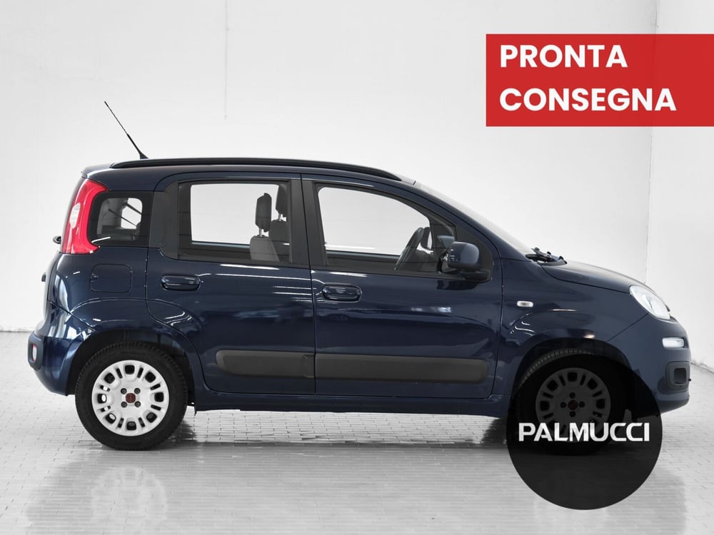 Fiat Panda usata a Prato (5)