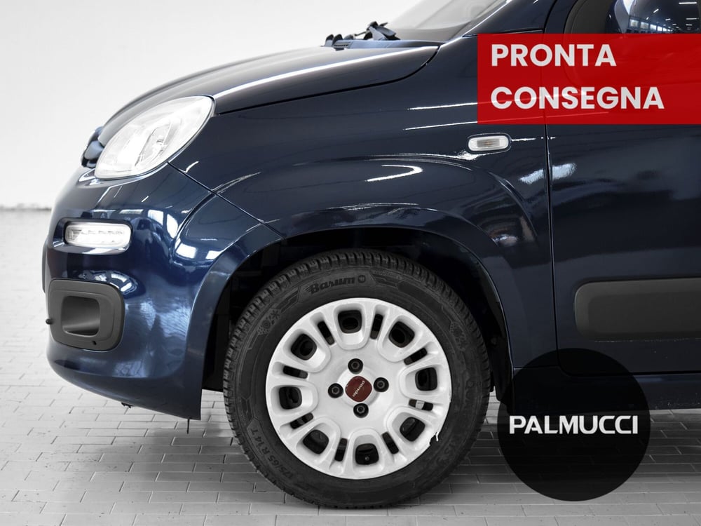 Fiat Panda usata a Prato (6)