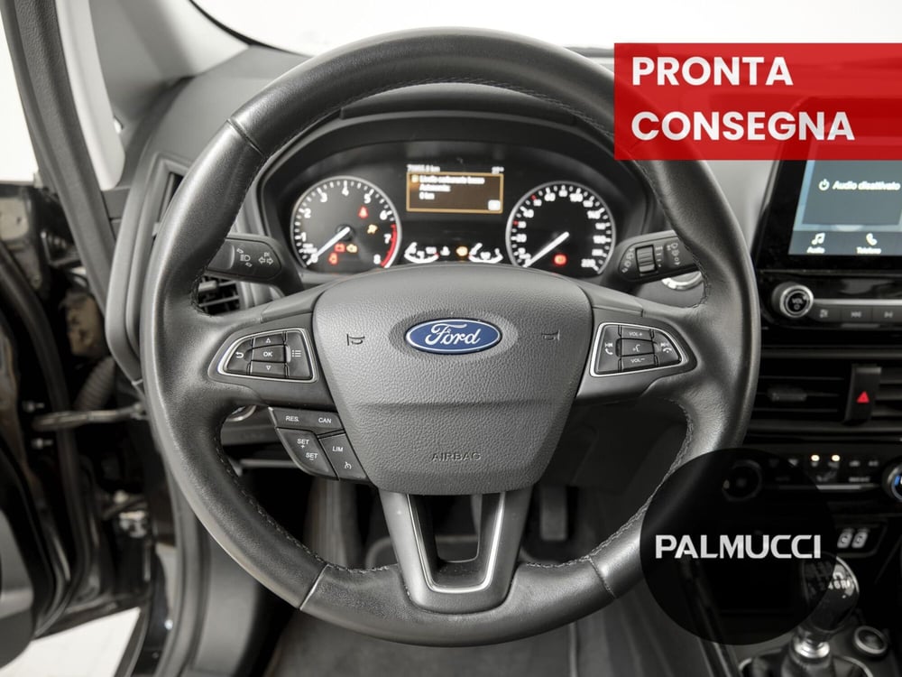 Ford EcoSport usata a Prato (10)
