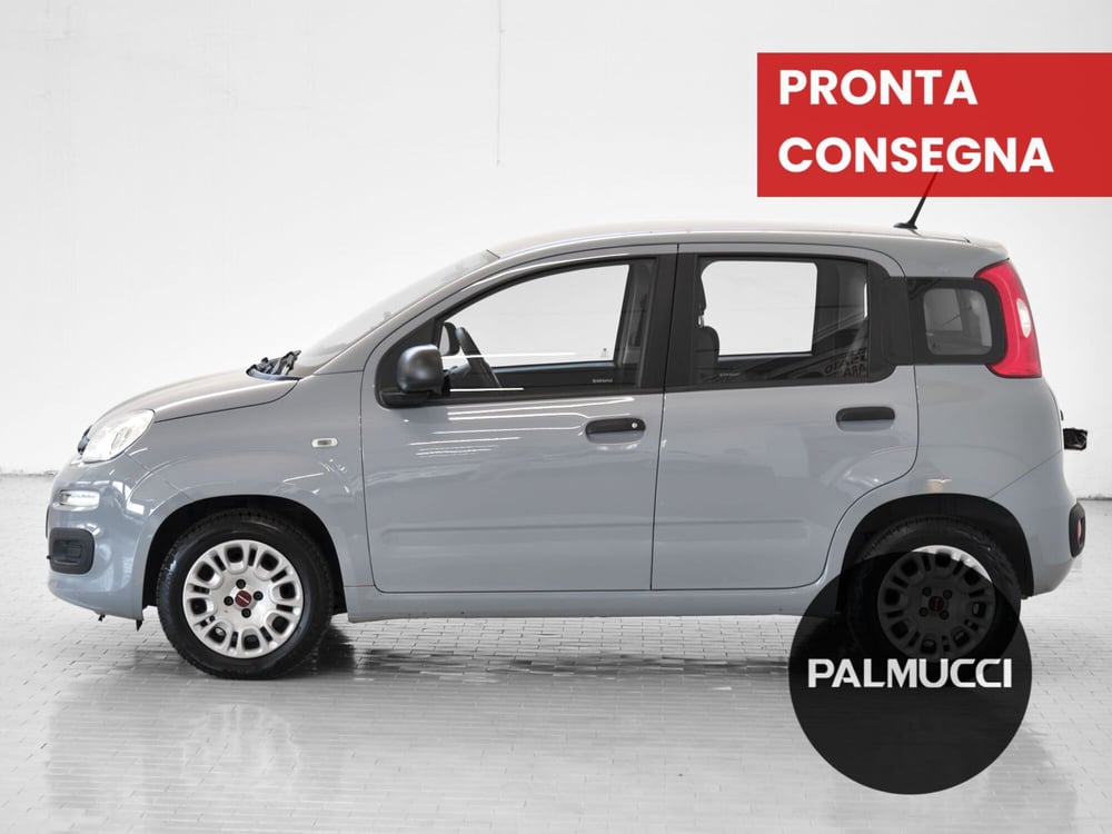 Fiat Panda usata a Prato (4)