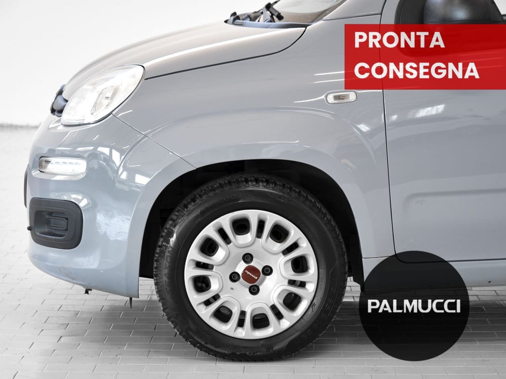 Fiat Panda usata a Prato (6)