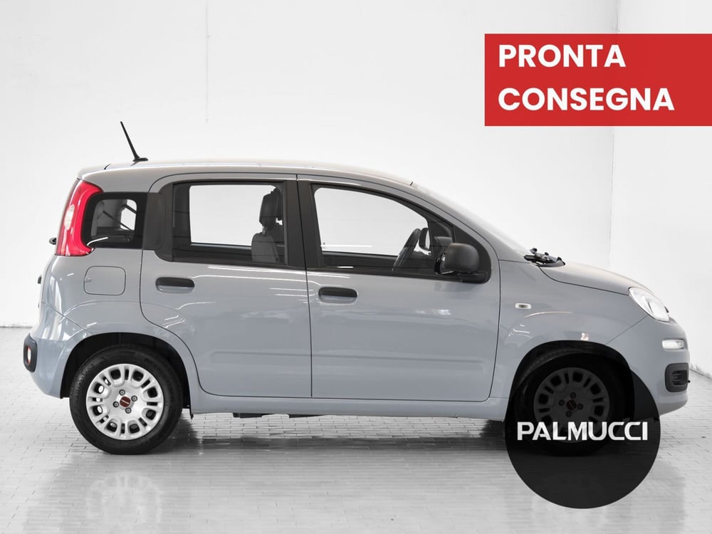 Fiat Panda Cross usata a Prato (4)