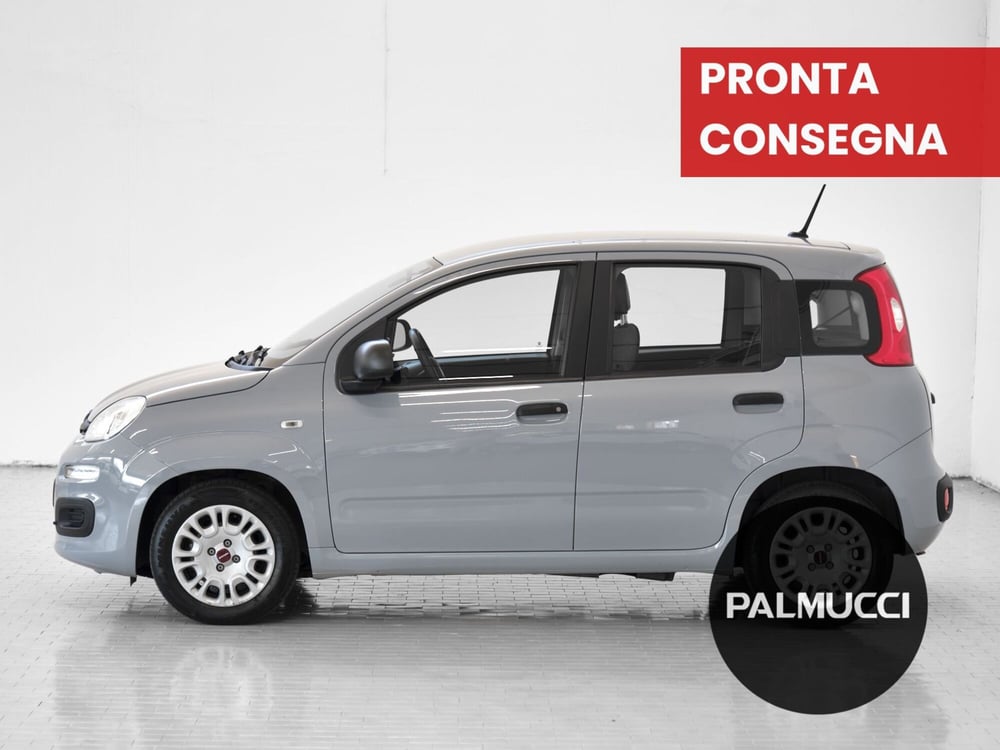 Fiat Panda Cross usata a Prato (5)
