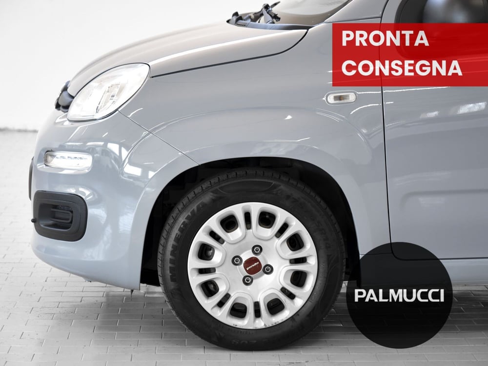 Fiat Panda Cross usata a Prato (6)