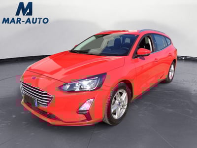 Ford Focus Station Wagon 1.5 EcoBlue 120 CV automatico SW Business del 2021 usata a Belluno