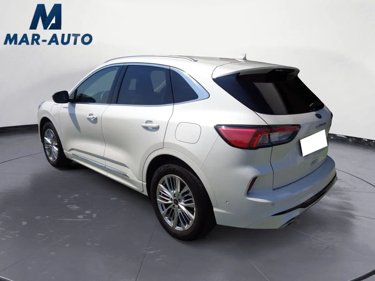 Ford Kuga usata a Belluno (2)