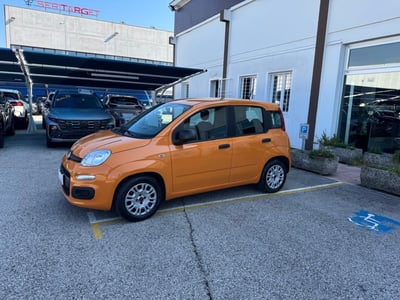 Fiat Panda 1.0 FireFly S&amp;S Hybrid Easy del 2020 usata a Veggiano