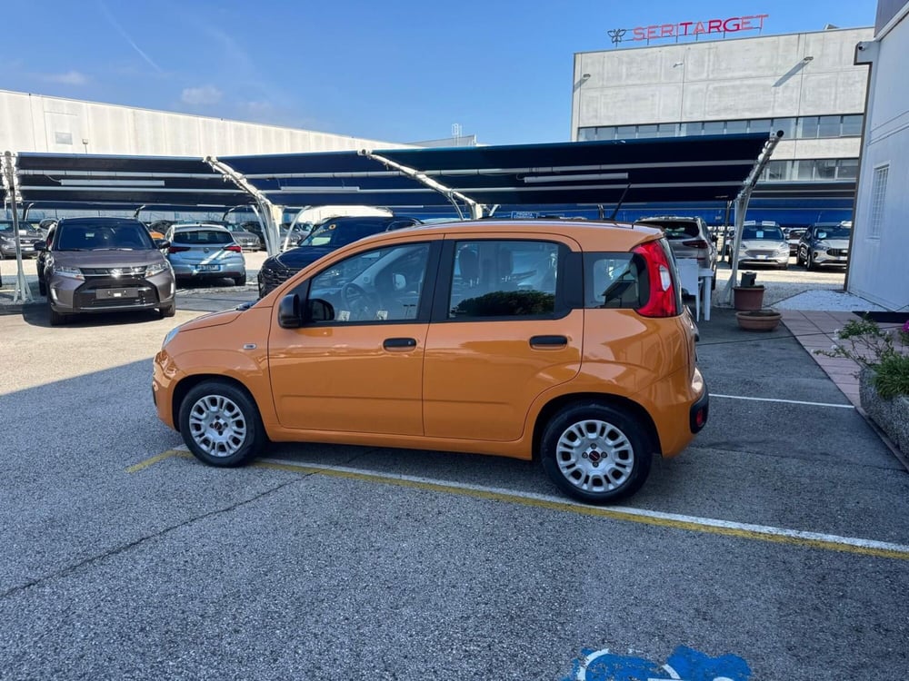 Fiat Panda usata a Padova (3)