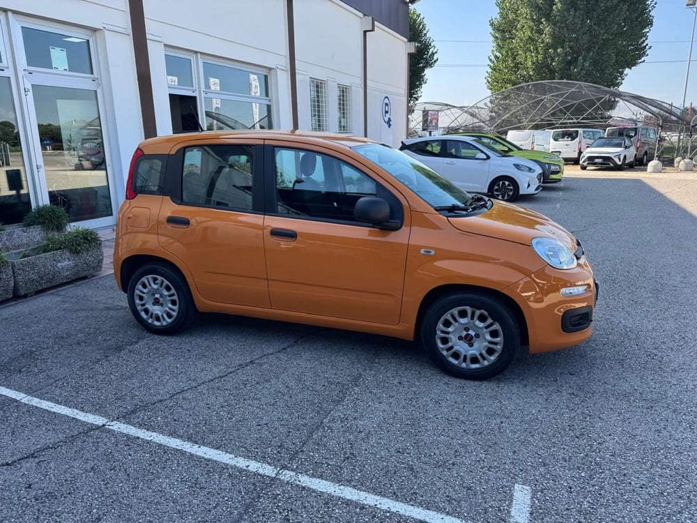 Fiat Panda usata a Padova (5)