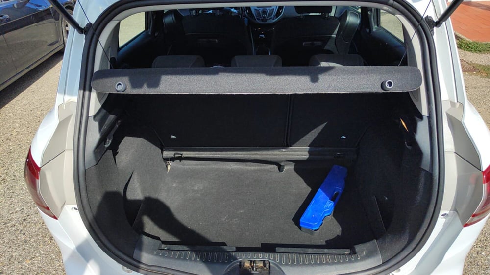 Ford B-Max usata a Firenze (8)