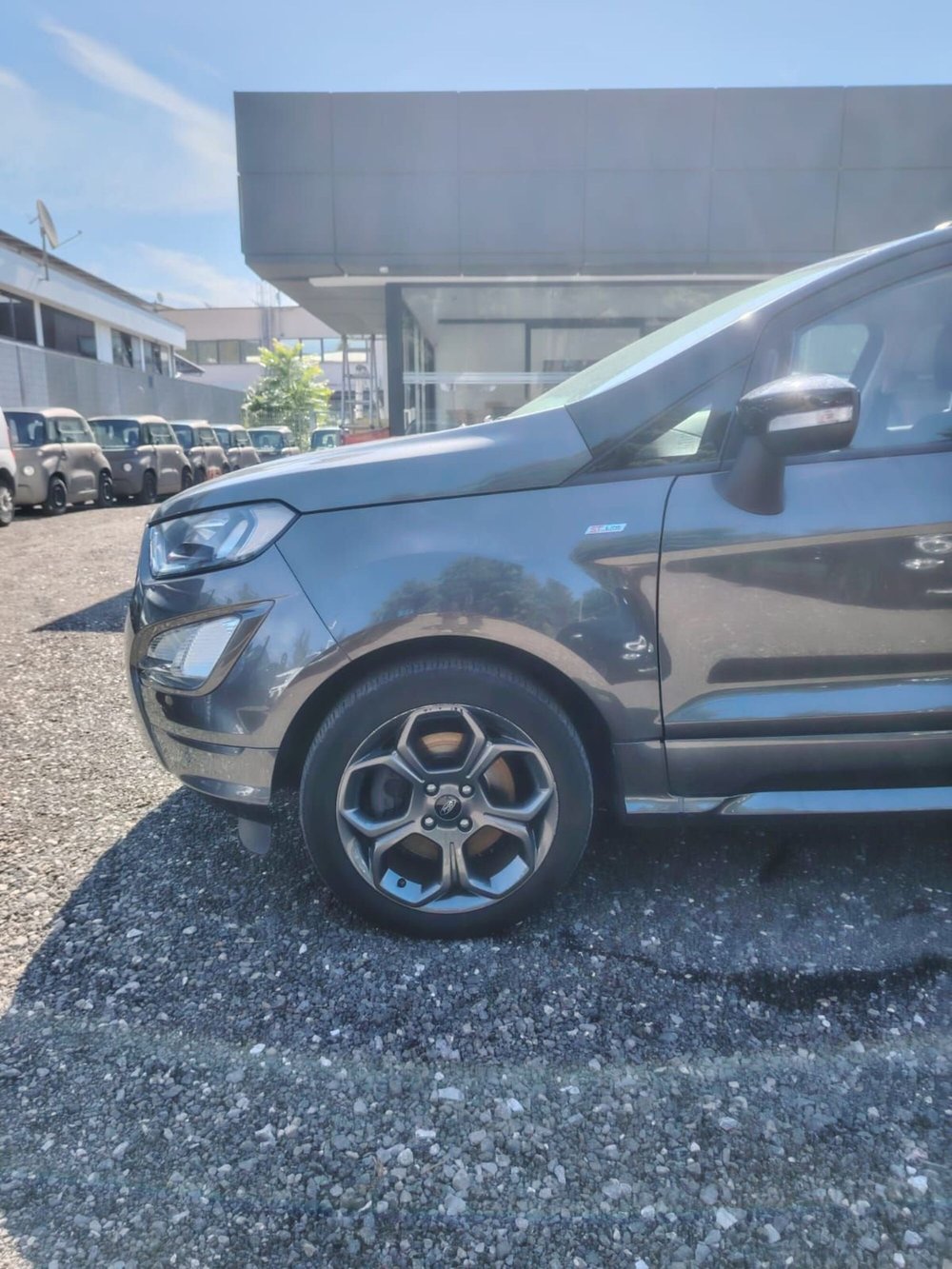 Ford EcoSport usata a Massa-Carrara (16)