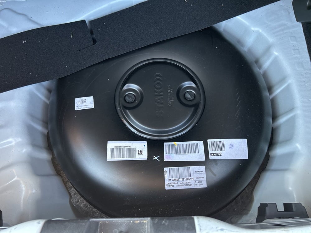 Dacia Sandero usata a Roma (11)