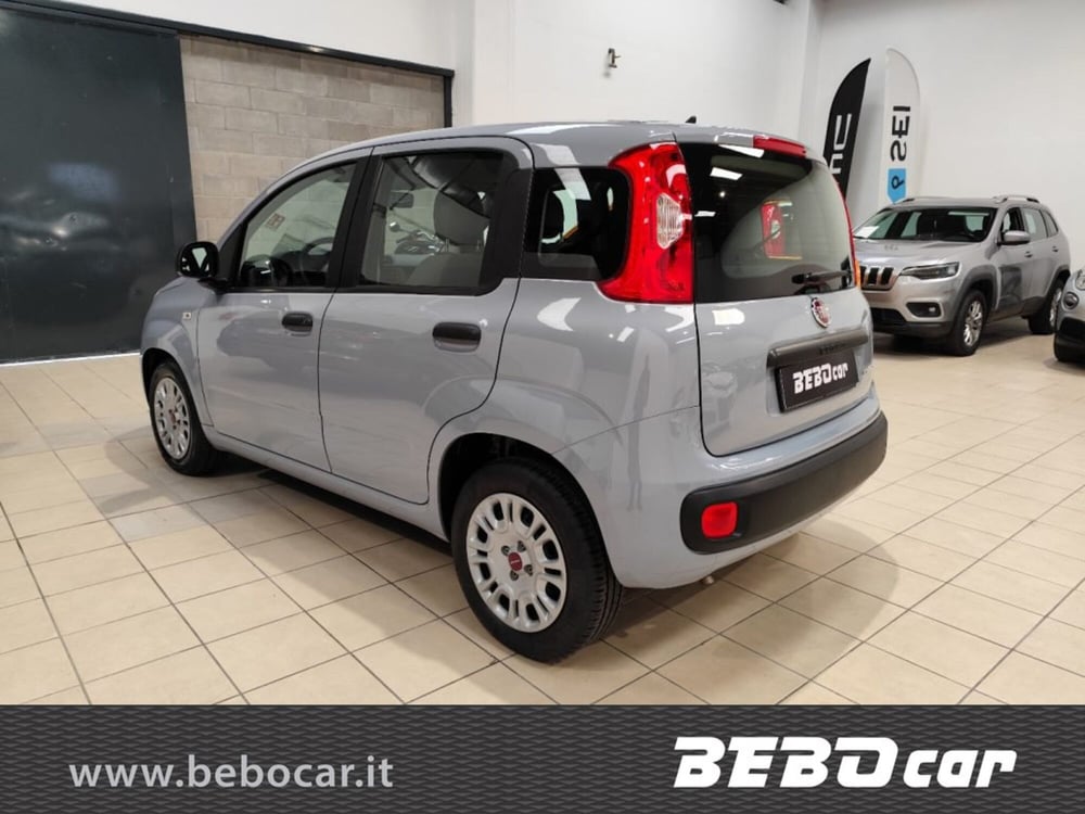 Fiat Panda Cross usata a Torino (10)
