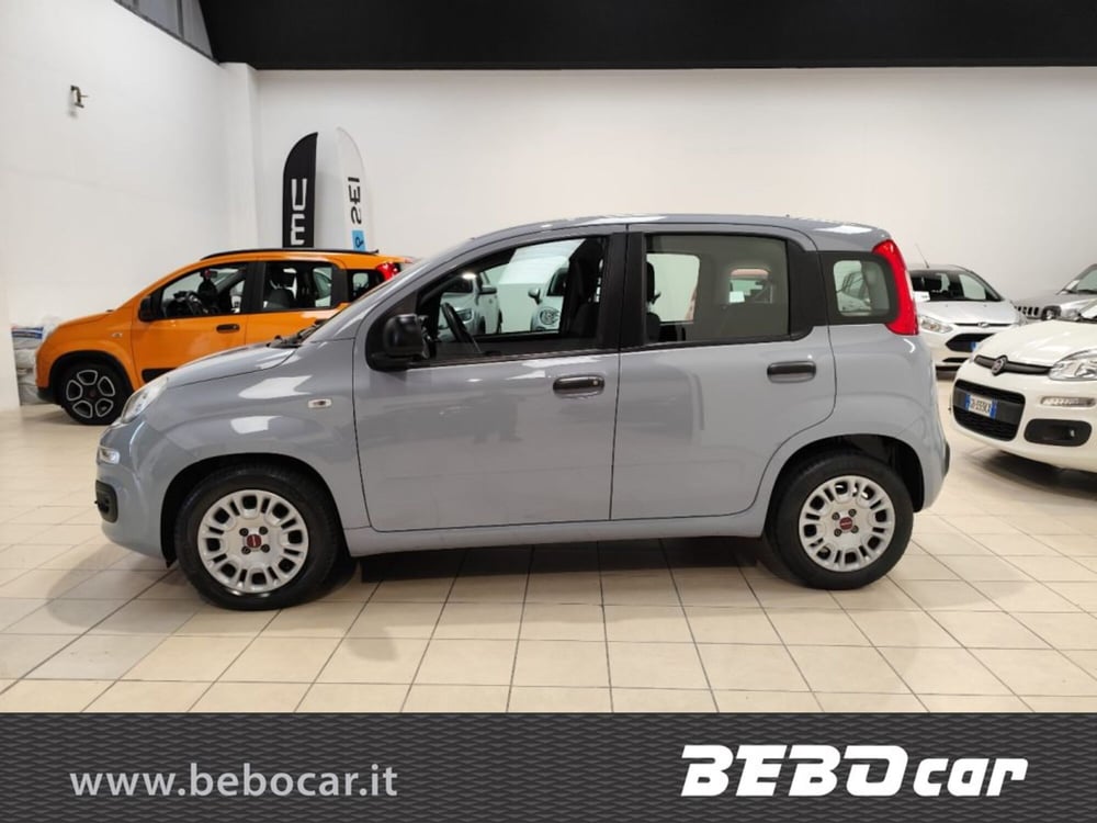 Fiat Panda Cross usata a Torino (11)